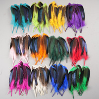Plumes de canard naturelles en vrac, douces, pour la fabrication artisanale de bijoux, chapeaux, costumes et décorations DIY – Vente en gros Feather Factory