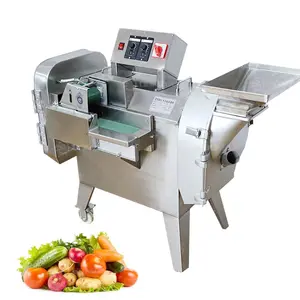 Ev kullanımı sebze kesme makinesi otomatik gıda kesici karıştırıcı çift kafa Dicing sebze dilim makinesi