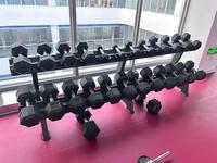 Support de Rangement Commercial SK à 2 Niveaux pour Haltères, en Acier Q235 de 3,0 mm, pour Équipement de Musculation Professionnel en Salle de Sport