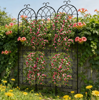 Metall-Kletterpflanzen-Rankgitter Rostfrei für Draußen mit Gewölbter Oberseite Dekorative Stütze für Blumen Rosen Clematis Obelisk 50x180cm