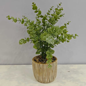 Petits bouquets faits à la main de feuilles d'<span class=keywords><strong>eucalyptus</strong></span> douces, 30 cm, fleurs artificielles décoratives modernes pour la maison, mariage, Noël, remise de diplôme - Product Image 2