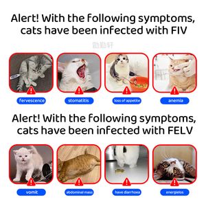 2-weg FIV-FeLV <span class=keywords><strong>Feline</strong></span> Combo Sneltest <span class=keywords><strong>Kit</strong></span> FIV Ab/FeLV Ag Sneltest <span class=keywords><strong>Kit</strong></span> voor huisdierenverzorging - Product Image 3