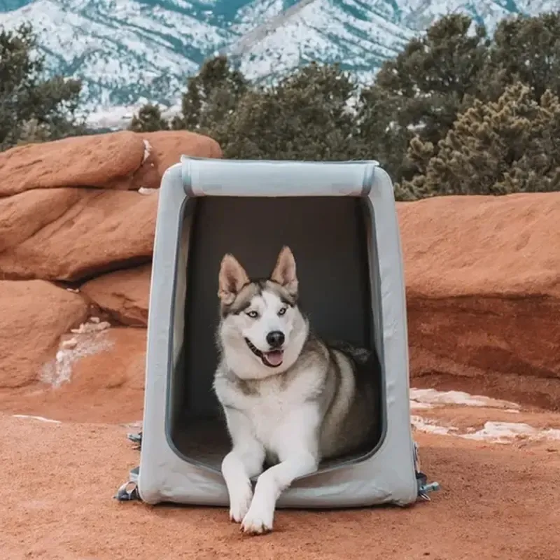 Precio de venta con descuento, taburete plegable para gatos azul cielo, condominio, cueva de gatito con cama, perrera inflable para perros y gatos de interior