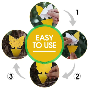 Pièges à mouches des fruits personnalisés avec des plaques adhésives puissantes pour capturer les ravageurs - Product Image 2