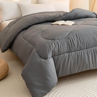 Ensemble de literie d'hôtel pour lit queen size, couette 100% polyester, édredon matelassé léger et chaud, moderne, pour l'hiver