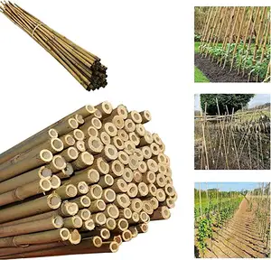 90cm tokin bamboo cane for garden outdoor 22-24 mm -1