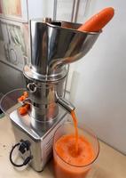 Extracteur de jus électrique professionnel en acier inoxydable 304 de qualité alimentaire, presse à froid / machine à jus lent pour boissons fraîches 1200W