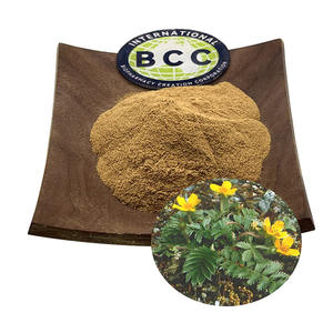 बीसीसी हर्बल सप्लीमेंट पोटेंटिला ऐस्कलर बंज अर्क पाउडर पोटेंटिला निकालने पाउडर - Product Image 1