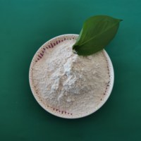 Poudre d'oxyde de magnésium (MgO) de haute pureté FUQANG pour applications réfractaires haute résistance, qualité industrielle