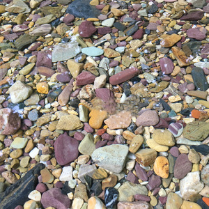 <span class=keywords><strong>Arena</strong></span> Natural para Acuarios <span class=keywords><strong>y</strong></span> Decoración de Paisajes con Piedras Pequeñas para Peceras - Product Image 3