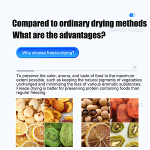 Liofilizador Eléctrico Comercial de 220V, Máquina de Liofilización Automática de Gran Volumen para Alimentos - Product Image 2