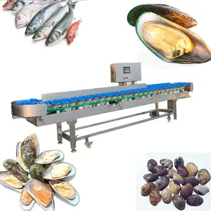 High Accurate Food Grade Waterproof Rotary Tray Type Weight Checker Grader Sorter Sorting Machine for Sea Food and Meat Products