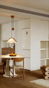 Lampe suspendue vintage style Domus du milieu du siècle, avec poids d'équilibrage, réglable en hauteur, pour salle à manger, café et hôtel - Product Image 6