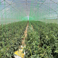 Enkelspannings PE-folie handmatige/elektrische ventilatie grote tropische landbouwkas voor fruitteelt