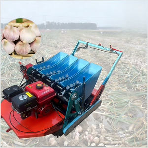 Seminatrice per Aglio Personalizzabile con Linea su Linea da 6 Pollici, 7 File e <span class=keywords><strong>Robusta</strong></span> Macchina Seminatrice per Aglio - Product Image 5