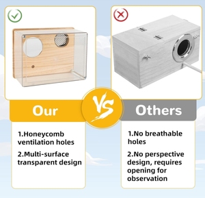 Şeffaf ahşap kuş evi şakayık papağan güvercin yetiştiriciliği kuluçka kutusu ile düğme kapatma sıcak ahşap kuş taşıyıcı - Product Image 3