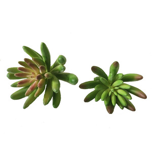 Planta Artificial de Simulación de <span class=keywords><strong>Suculenta</strong></span> de 11 cm, Duradera, Ecológica, de Alta Simulación, Planta de Plátano, Hermosa Decoración Floral - Product Image 2