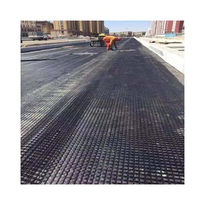Enlace de muestra gratis-Geogrids-<span class=keywords><strong>Plastic</strong></span> Geogrid, Fiberglass Geogrid, Polyester Geogrid GEO <span class=keywords><strong>Grid</strong></span> <span class=keywords><strong>Mesh</strong></span> construcción terraplén - Product Image 2