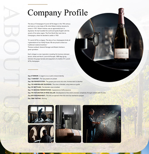 H Lanvin & Fils - Rosé Brut - 37,5 cl - Goût Agrumes - 12,5% ABV - Mini Apéritif Pinot Noir Chardonnay - Product Image 6