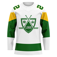 Vente en gros d'usine, vêtements de sport de haute qualité 100% polyester, veste de hockey sur glace, t-shirt, OEM personnalisé, sweat à capuche de hockey, maillot de hockey, uniforme