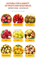 Hoge kwaliteit roestvrijstalen fruit- en groentesorteermachine voor bayberry, kiwi, bosbes, passievrucht en kers