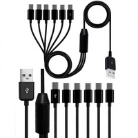 Câble de charge USB un-vers-six avec six connecteurs Type-C, conducteur en cuivre nu