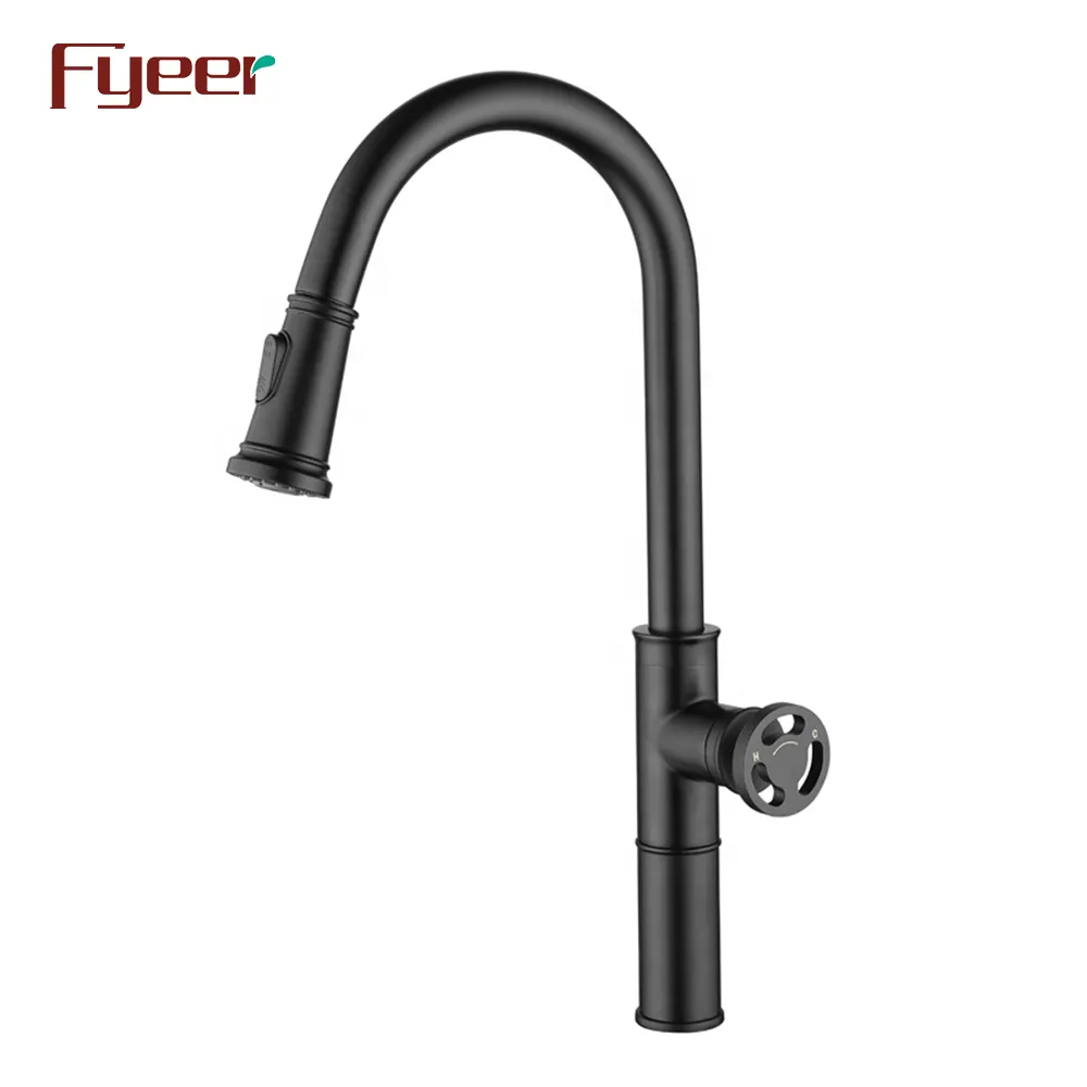 Fyeer Black Painted Industrial Pull Out Kitchen Sink Faucet