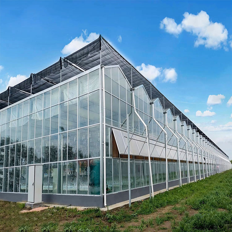 Green House Metal Frame Farming Agriculture
