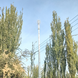 Torre de Comunicación de Acero de Tubo Único Personalizable con Galvanizado en Caliente, Material Q420B/Q355B/Q235B, Marca <span class=keywords><strong>Guanchen</strong></span> - Product Image 5