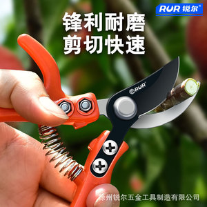 RUR Fruit Picker Pruning Shears 10-20 Mm Stainless Steel Butterfly Design For Pruning Fruit Trees - Product Image 4