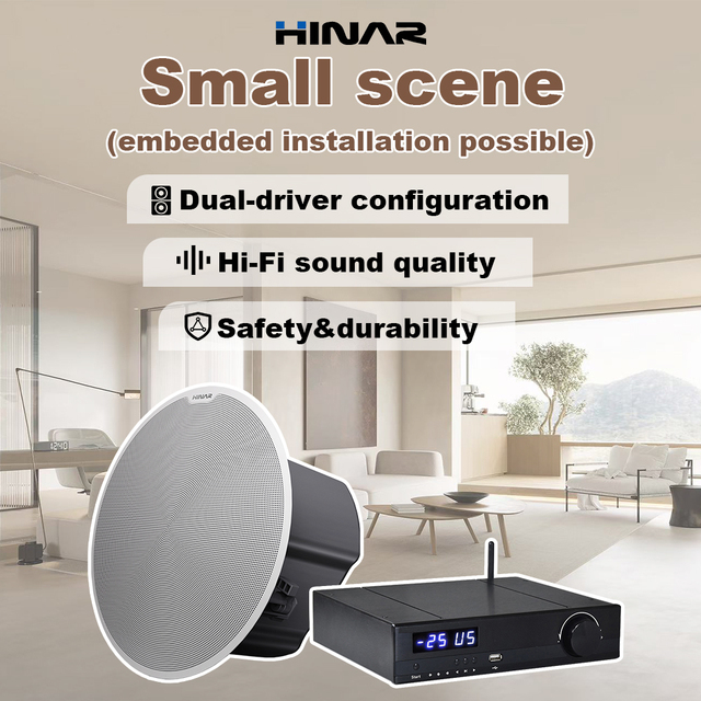 Hinar 2* 6.5inches Smart Home Audio Wall & Ceiling Speaker Subwoofer Amplifier with Android Support