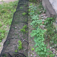 Filet d'ombrage Grow Tunnel Garden Cloche Strawberry Greenhouse