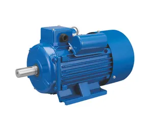 Machtige Yl Eenfasige Motor Eenfasige Kleine Motor 220V 0.55/0.75/1.1/1,5kw2. 2/3 Kw Machines Apparatuur Asynchrone Motor