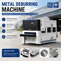 Machine de polissage magnétique double face automatique en acier inoxydable SR-TECH, puissance 55 kW, garantie 2 ans, pour l'ébavurage des métaux