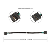 Faisceau de fils PCB femelle à femelle isolé en PVC 2.54mm 10 broches personnalisé pour connexion à double en-tête USB pour applications informatiques