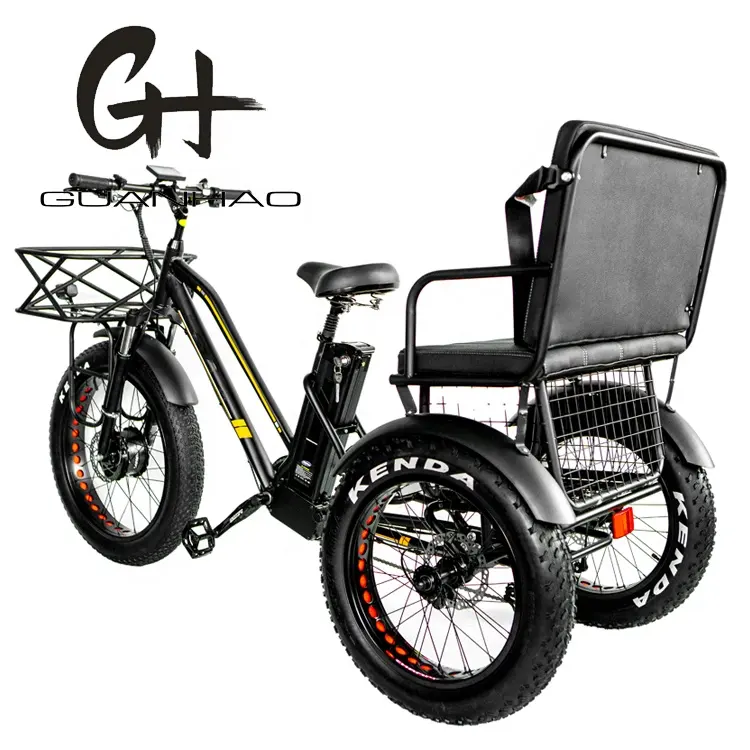 Tricycle électrique à 3 roues 24-20 pouces, 750W, moteur avant 8FUN, batterie 48v 21ah, CE pedicab triporteur bekek, pneus larges, 50 pièces