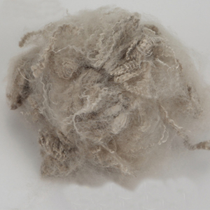 เส้นใยโพลีเอสเตอร์รีไซเคิลจากโรงงาน PP Cotton  เส้นใย PET  เส้นใย <span class=keywords><strong>PSF</strong></span> - Product Image 3
