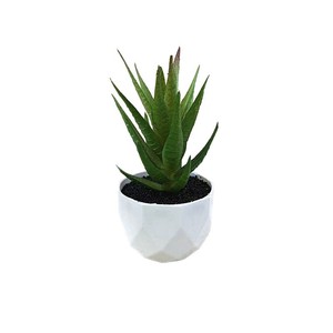 Mini bonsaï artificiel en aloe vera succulente, 14 cm de haut, plante en pot en plastique, vert rouge, décoration moderne pour la maison - Product Image 5