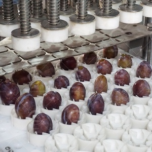 New SUS304 thép không gỉ Tự động mận rỗ máy với động cơ cho Stanley mận và mơ - Product Image 2