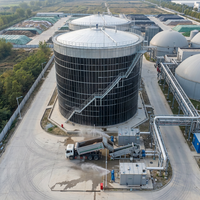 Réservoir de Fermentation Anaérobie, Digesteur de Biogaz, Réacteur pour le Traitement des Eaux Usées et des Boues, Système d'Équipement Industriel