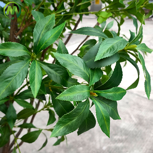 Nouveau style d'arbre artificiel <span class=keywords><strong>Pieris</strong></span> <span class=keywords><strong>Japonica</strong></span>, aspect bois véritable, aspect naturel, faux arbre japonais Andromeda, arbre artificiel de modelage pour la décoration - Product Image 6