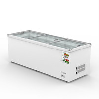 Congélateur coffre miniature à température unique pour la crème glacée Petit congélateur Vitrine de supermarché Réfrigérateur Porte coulissante en verre
