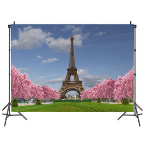 Célèbre monument <span class=keywords><strong>Paris</strong></span> tour Eiffel fleurs bébé anniversaire photographie décors <span class=keywords><strong>Photo</strong></span> arrière-plans Photocall <span class=keywords><strong>Photo</strong></span> Studio - Product Image 1