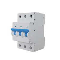 Interrupteur principal Double pôle 100 A Monophasé Triphasé IC65 MCB Disjoncteur G1 G2 G3 G4 disjoncteur 16A 32A 63A 100A
