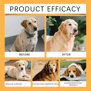 ขนมบำรุงข้อต่อ<span class=keywords><strong>สุนัข</strong></span> 200 กรัม ช่วยเพิ่มความคล่องตัว บำรุงกระดูกอ่อน สุขภาพดีขึ้น จากโรงงานโดยตรง <span class=keywords><strong>ขาย</strong></span>ดี - Product Image 3