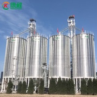 Silo di Stoccaggio per Chicchi di Caffè in Acciaio Zincato Corrugato da 5000 Tonnellate, Assemblaggio Verticale Imbullonato, per Uso in Allevamenti Avicoli, Prezzo di Fabbrica