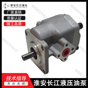Pompe à engrenages hydraulique Changjiang GPY 3 en fonte à entraînement électrique rotatif - Product Image 1