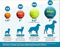 OEM ODM 4 couleurs orange bleu vert rouge logo personnalisé 1,5 pouce mini balle de tennis couineuse jouet pour chien