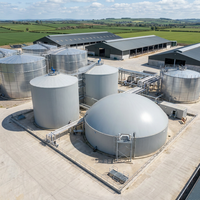Digesteur anaérobie Schumann Tank Heavy Duty 5000m |   Réacteur CSTR SS316 à double agitation |   Automatique |   Durée de vie de 25 ans |