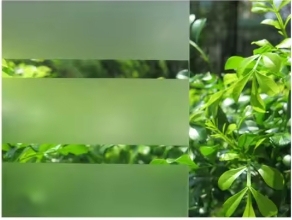 <strong>Frosted</strong> <strong>Film</strong> for Door Window of Privacy for Bathroom Office Glass <strong>Film</strong> - Product Image 6